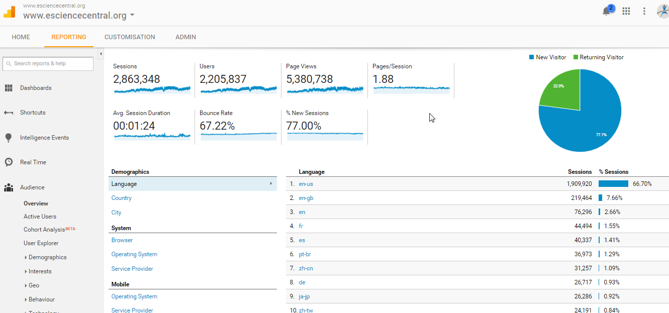 Visitor Analysis Report